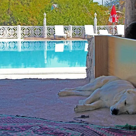 Sultan Motel Oludeniz